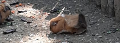 20190701_105705