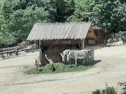 20190701_134318