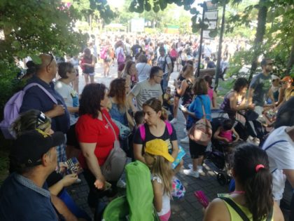 IMG-20190702-WA0085