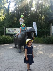 IMG-20190702-WA0309