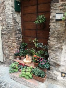 IMG-20191209-WA0020