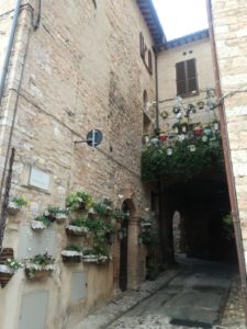 IMG-20191209-WA0021