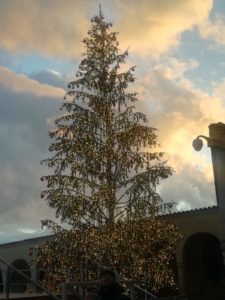 IMG-20191209-WA0103