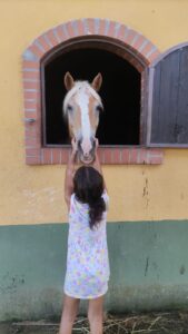 IMG-20220906-WA0029
